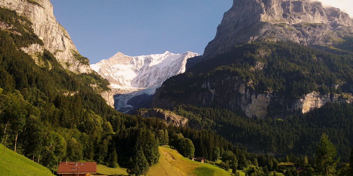 格林德尔瓦尔德